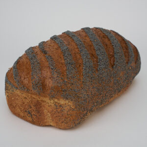 VLOER MAANZAAD TARWE